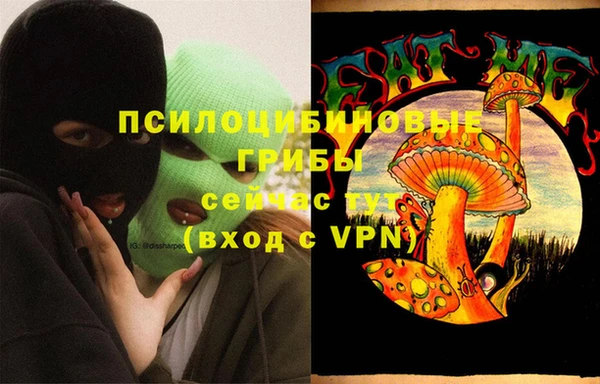 ГАЛЛЮЦИНОГЕННЫЕ ГРИБЫ Абаза