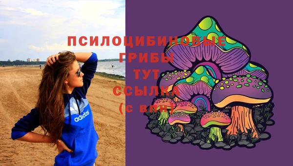 ГАЛЛЮЦИНОГЕННЫЕ ГРИБЫ Абаза