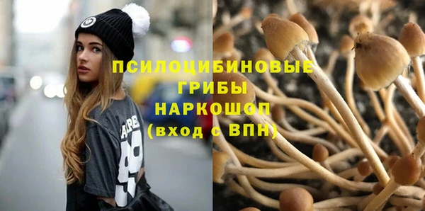 ГАЛЛЮЦИНОГЕННЫЕ ГРИБЫ Абаза