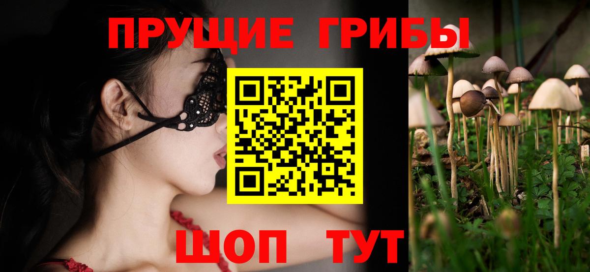 где продают наркотики  Вход с VPN  Иваново  Галлюциногенные грибы Psilocybine cubensis 